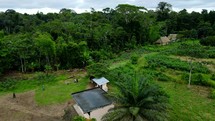 Aerial shot drone flying in semicircle to right over open green field as hikers enter an indigenous village in middle of Amazon rainforest