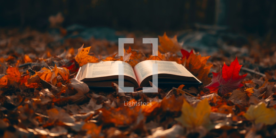 A Bible opened sitting on a pile of leaves on the ground.