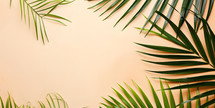 Palm leaf border on a plain background, Palm Sunday background