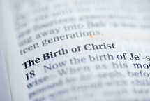 The Birth of Christ 