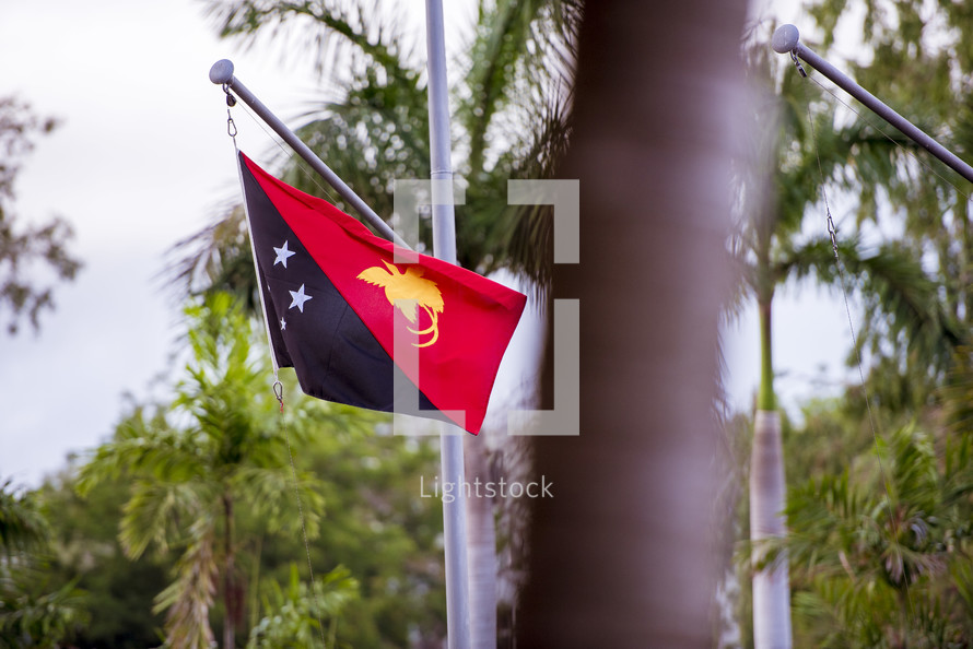 flag of Papua New Guinea 