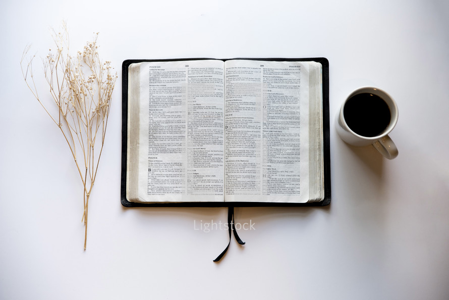 opened Bible, coffee cup, and plant sprig 