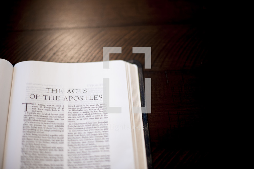 The Acts of the Apostles 