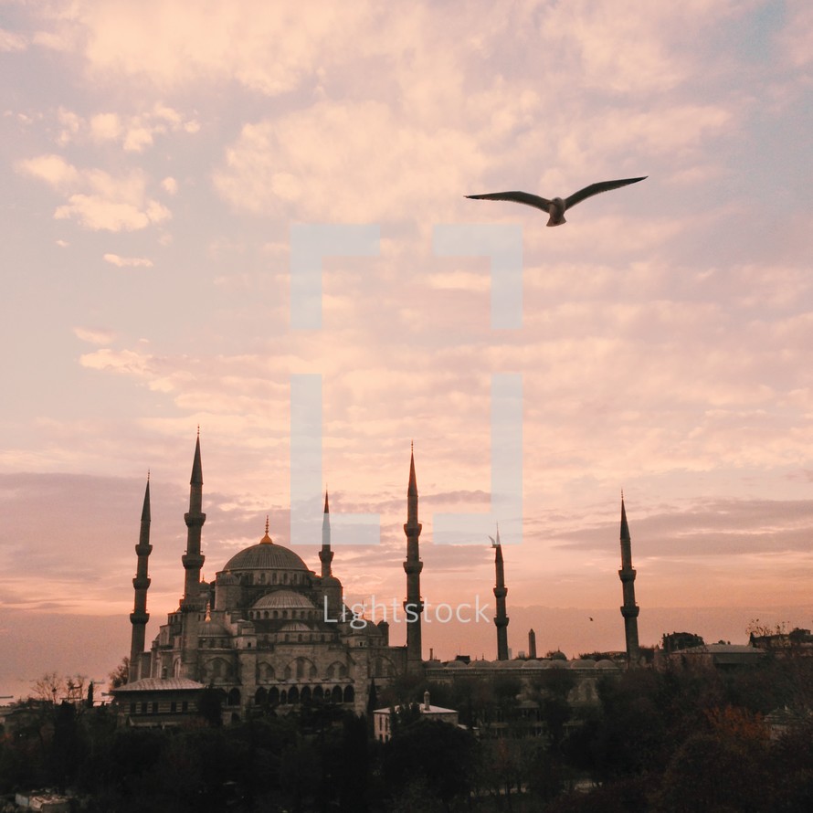 bird in flight and a distant Mosque 
