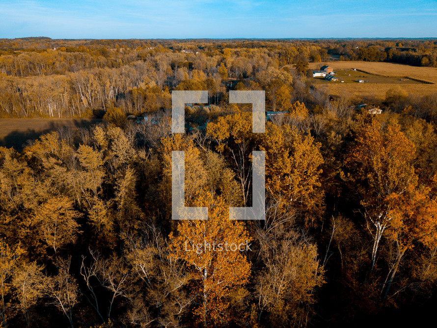 aerial view over a fall forest