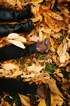 Lying in Fall leaves