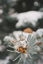 Engagement ring and wedding band perched on top of snow covered pine cone and pine needles.