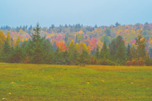 colors from a fall forest across a meadow 