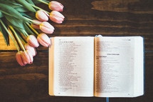 tulips and an open book on a table 