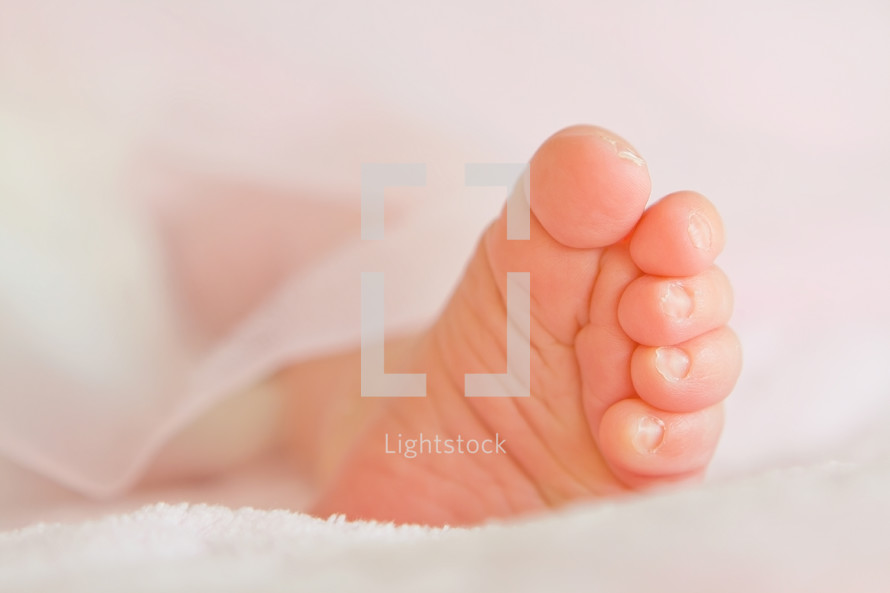 tiny newborn foot