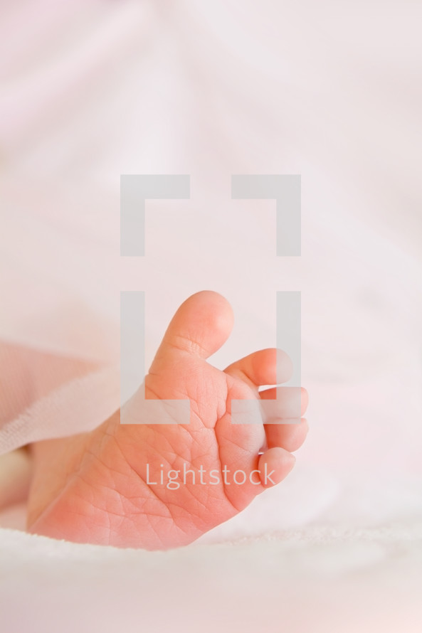 newborn foot