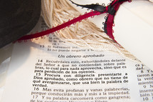 Graduation, Spanish Bible Verse