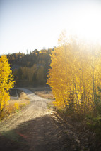 fall scene and dirt road 