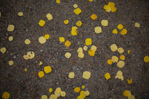 yellow fall leaves on gravel 
