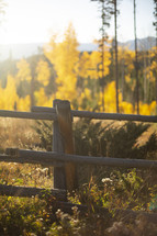 fence and fall scenery 