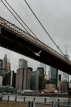 Seagull flying past Brooklyn Bridge on a cloudy day
