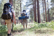 Hikers with backpacks in the woods.