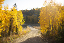 rural fall scene 