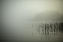fog and mist over a pond 