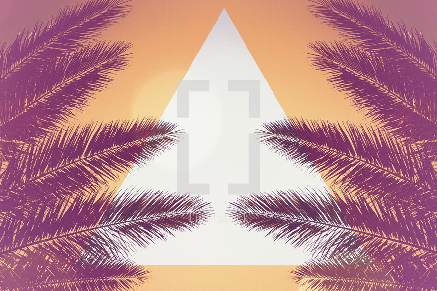palms and a triangle