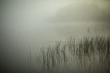 fog over a pond 