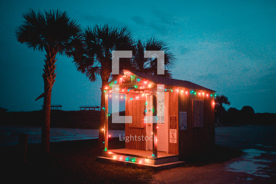 shed with Christmas lights and palm trees 