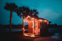 shed with Christmas lights and palm trees 