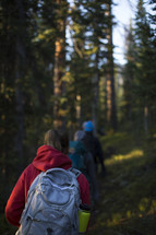 people hiking in a forest 