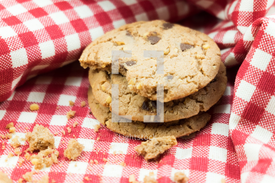 cookies on a picnic blanket 