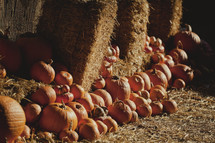 Row of pumpkins with hay bales.
