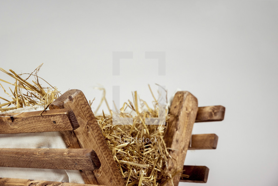hay in a manger 