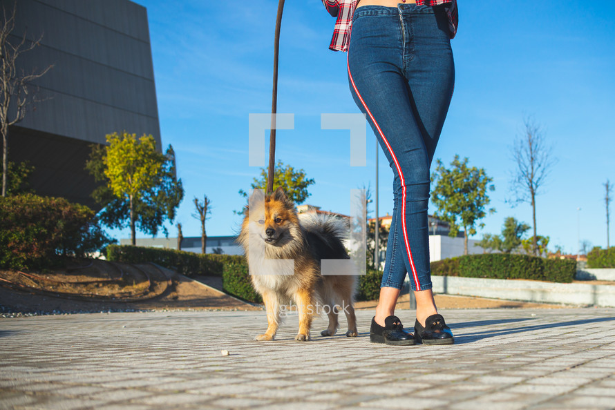 woman walking her dog 