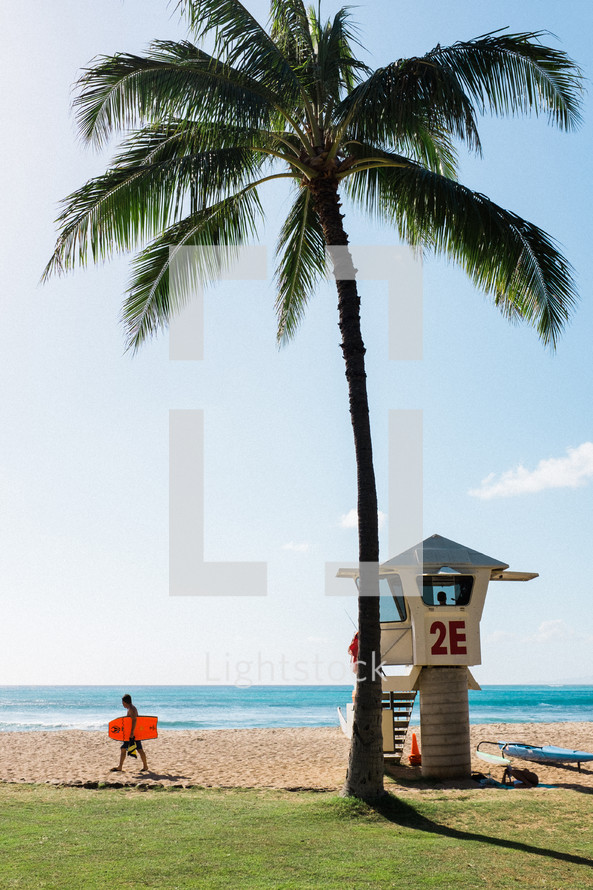 lifeguard stand under a palm tree on a beach 