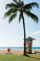 lifeguard stand under a palm tree on a beach 