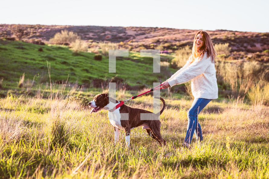 Young woman with white jerser and jeans training American Staffordshire terrier in the field