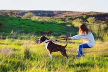 Young woman with red coat and jeans training American Staffordshire terrier in the field