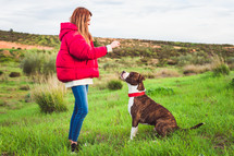 Young woman with red coat and jeans training American Staffordshire terrier in the field