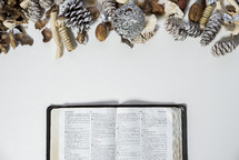 opened Bible and pine cone border