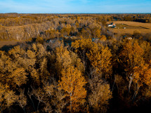 aerial view over a fall forest
