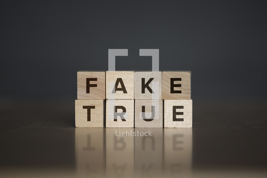 Fake True words on wooden blocks 