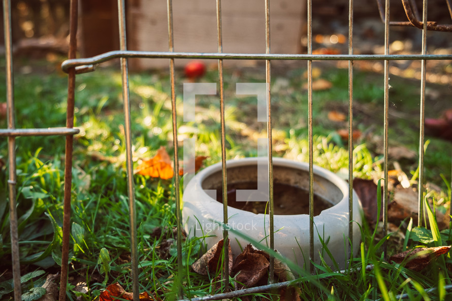bowl in a fenced cage