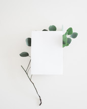 blank paper and stick with leaves 