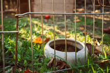 bowl in a fenced cage