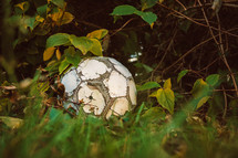 old soccer ball in the woods 