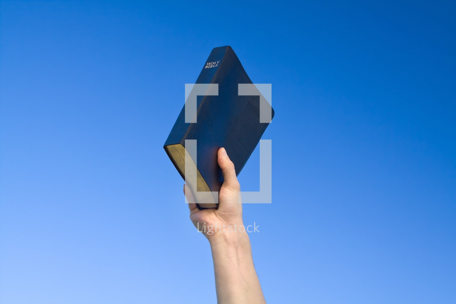 hand holding a Bible in the air