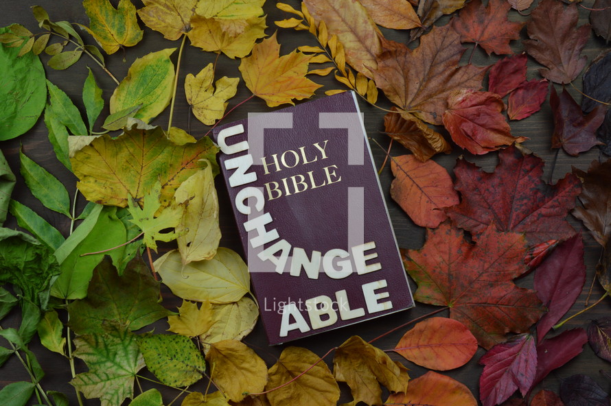fall leaves border around a Bible - 
colorful changeable autumn leaves in color gradient on brown wood with a bible in the middle and the word UNCHANGEABLE on it
