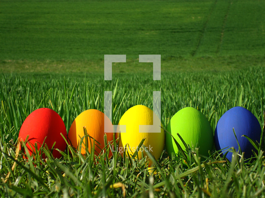 multicolored eggs in the grass, 
egg, eggs, multicolored, Easter, gras, eggshell, blown out, paint, painted, colorful, colourful, colour, natural, nature, spring, colored, color, food, eat, eating, chicken, hen, chickens, hens, pullets, symbol, decoration, green, sun, sunshine, bright, light, sunlight, meadow, outdoor, shell, egg shell, hide, seek, search, find, hunt, egg hunt, hiding, seeking, finding, hunting, detect, detecting, discover, pick, gather, collect, red, yellow, orange, purple, blue, lilac, plant, vegetation, rainbow