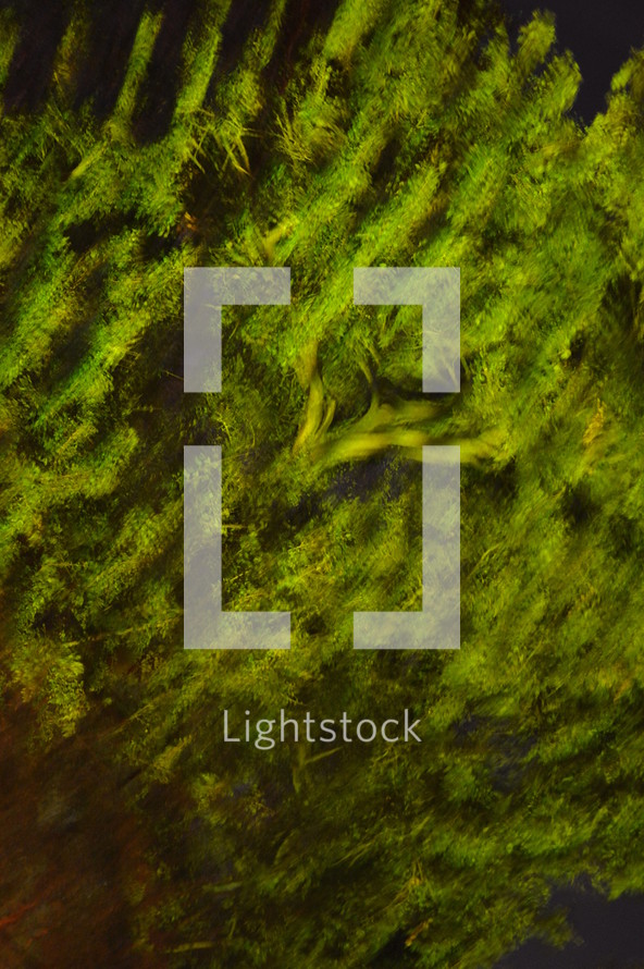 abstract background with green vegetation. 