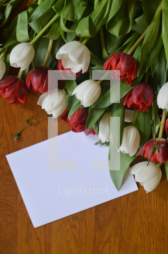 blank white card with copy space for your own text with bouquet of red and white tulips
