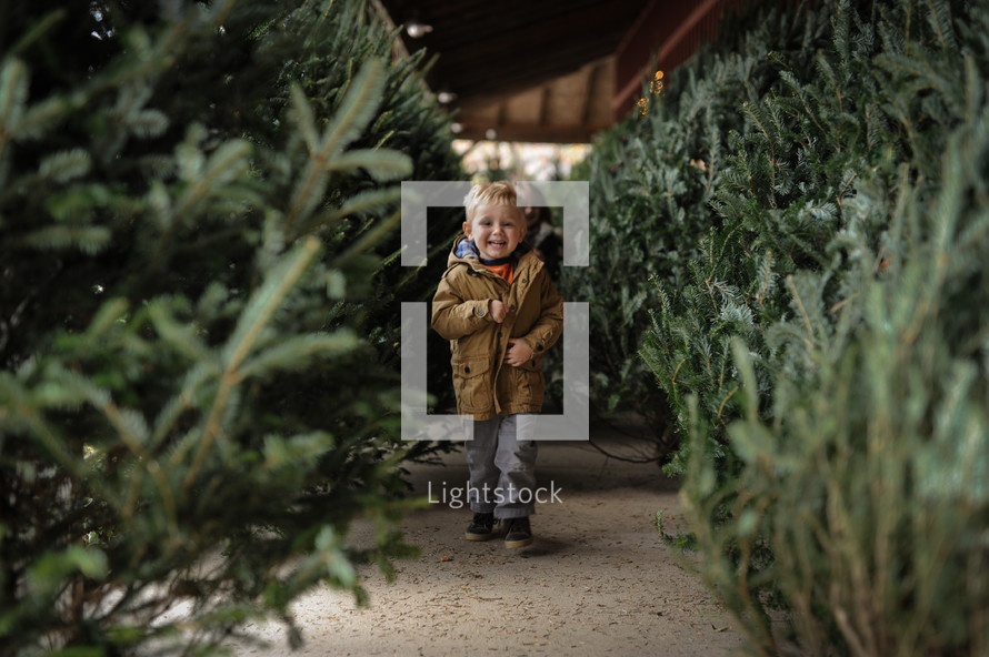 a toddler boy walking through a Christmas tree lot 